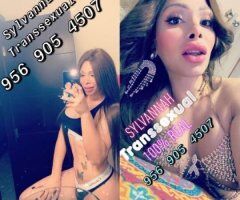 Mcallen escorts - 💕🍭👑😈👻🦋👀☘💎Ostentosa Transsexual Sylvannah FOTOS REALES VERIFICACION FACETIME👑💕💞😇👀🍭☘😈👻💎🦋