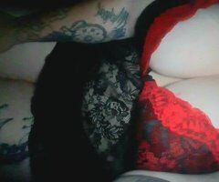daisy - Image 2