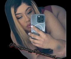 San Jose escorts - 🔥 OUTCALLS ONLYY🌊 SLOPPIEST THROAT IN THE CITYY💦 ✨📍 ATTENTION:💦 PROCEED WITH CAUTION SLIPPERY WHEN WETTT 👅 OUTCALLS SURROUNDING CITIES LETS PLAY!
