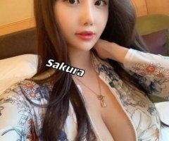 ❤➖💜➖💙➖💛➖💚SAKURA➖💜➖💙➖💛➖💚OUTCALL❤➖💜➖💙➖💛➖💚ATLANTIC CITY❤➖💜➖💙➖💛➖💚 - Image 5