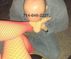 DOMINATING THE BEST - Image 11