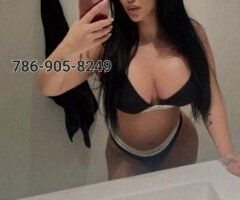 vanessa latina - Image 4