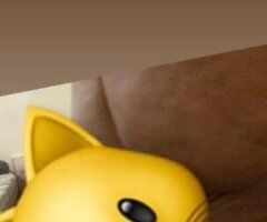Tampa escorts - bbbj special qv special
