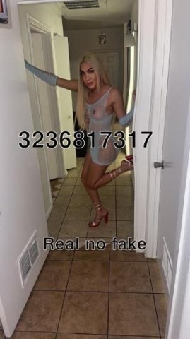 hello, I am a transsexual girl you would like to meet me - 1