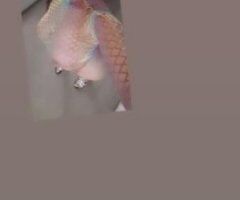 EXOTIC BELIZEAN MAMI 🍾 SPECIALS 🍦 DREAMY Dream 💦👅(INCALLZ)SPECIAL'z💋💖💋 Certified HEAD QUEEN 👸 💦 - Image 3
