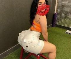 San Luis Obispo escorts - just arrived