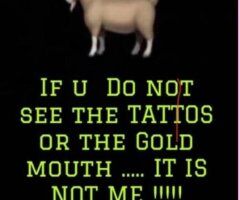 Raleigh-durham escorts - 👅 HEAD HUNTER IS HERE 👅 NO HANDS 💦STR8 MOUTH 👅DT💦CIM