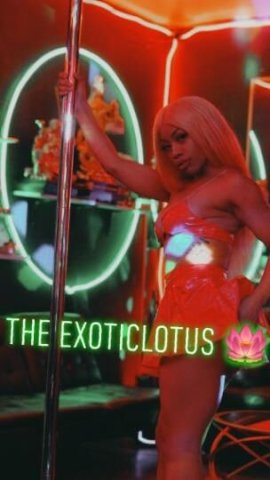 D Throat Queen - 1