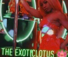 San Jose escorts - D Throat Queen