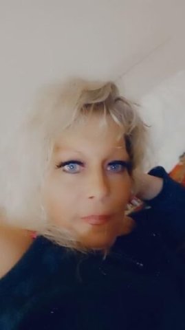 cougar on the prowl - 1