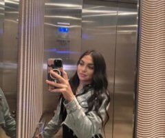 San Francisco escorts - INCALLS NEAR SFO AIRPORT