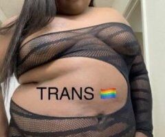 TUPELO TRANNY 💦 1 night only ‼🥳 - Image 2