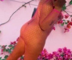 Lafayette escorts - come and see me this morning 💦🍑💦🍑🩵🤍💦