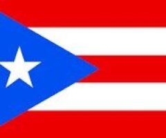 I AM NOT SEEING ANY BLACK MEN NO PLEASE I AM ONLY SEEING WHITE MEN ONLY AND LATINO MEN ONLY I AM HOSTING IN SOUTHWEST BALTIMORE MARYLAND - Image 6