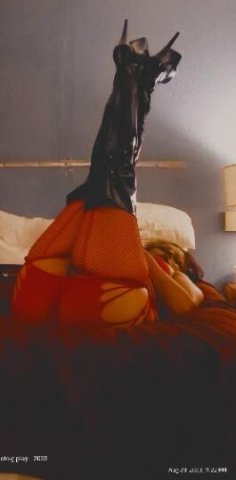 NEED SOMEONE TO PLAY WITH MY KAT, MAKE ME PURR, ILL MAKE YOU GROWL.... - 1