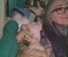 Phoenix escorts - 420 Smoke sesh.(.free)get together