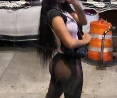 San Francisco escorts - ELITE COMPANION, MUST BOOK ONE HR MINIMUM