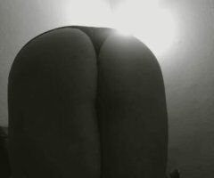 St. Louis escorts - 💋💋THICC N DELICIOUS.👅.thicc chicks 👅taste better,..CUM taste this crazy tight 😻kitty, and let me suck your soul ...youll keep cumin and cumin and cumin 💲💲out call incall