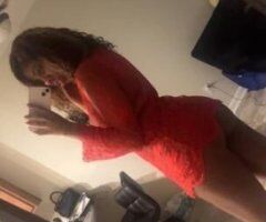 Thee Beautiful Bea Velour 💋 - Image 8