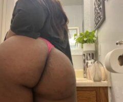 Milking queen - Image 2