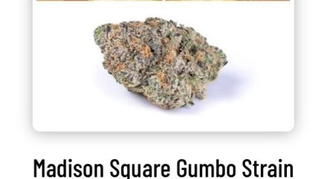 ⛽⛽🌜🌜🌜🌚🌚💨💨🌲🌲🌲🔥Real deal 420 Pressure HMU🌲🌲🌲🔥🌨🌨🌦💨 1Call away - 1