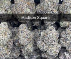 ⛽⛽🌜🌜🌜🌚🌚💨💨🌲🌲🌲🔥Real deal 420 Pressure HMU🌲🌲🌲🔥🌨🌨🌦💨 1Call away - Image 9