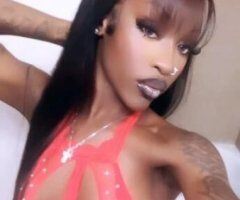 Hottest Aphrodite In your City 🫦 - Image 5