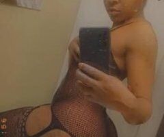SLIM 💦CHOCOLATE PETITE COLUMBIAN 🐱 - Image 4