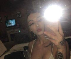 Snow Bunny - Image 6