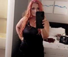 Bailey is in Clearwater -- Available Now - Image 2