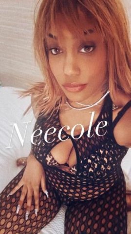 Ethiopian/Cuban Vixen Fetish Friendly Vixen visits DO NOT TXT ME - 1