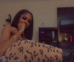 Newport News escorts - 😝READY now 💯%=REAL🍌🍑Ready Now!Baby come experience Me ~TheSuper Freak SUperSOAKER ill Make your Toes Curl💥💯real Pictures 🍑SUCCULENTS PU$$ 😁🍇💯Squirter Doll. 🥱EXOTIC 🍍BOMBSHELL PANAMANIAN SWAN🍒