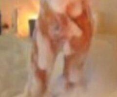Nashville escorts - Experienced, older, Sexy Cougar