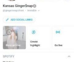 Springfield escorts - Kansas Gingersnap 🦊OnlyFans Creator💦 UpScale🌴New SnapChat