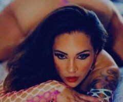 Provo escorts - Sexy Beautiful Mixed Girl Jayded Hearts wants you satisfied