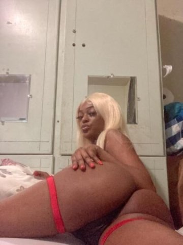 🌹⭐Your perfect exotic Barbie⭐💋 💅 available right now🌹 - 1