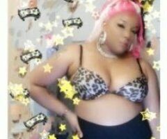 Katt is back!! Discounts on all visits 😉 - Image 3