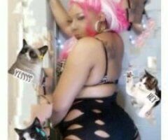 Katt is back!! Discounts on all visits 😉 - Image 4
