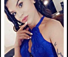 Oakland/East Bay escorts - 🌺Snowbunny Hottie🌺