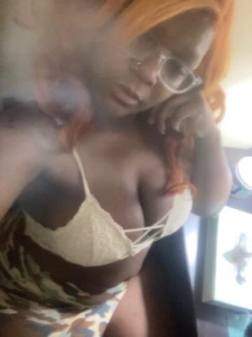 come experience chocolate paradise - 1