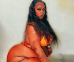 Tampa escorts - THE CAKEZ EXPERIENCE BBW LOVERS ONLY