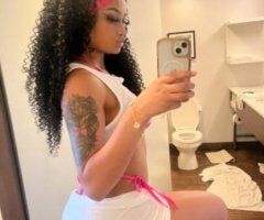 Salem escorts - dont miss out on majesty incalls & outcallsp