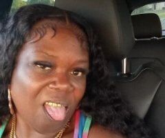 Sassy Black - Image 4