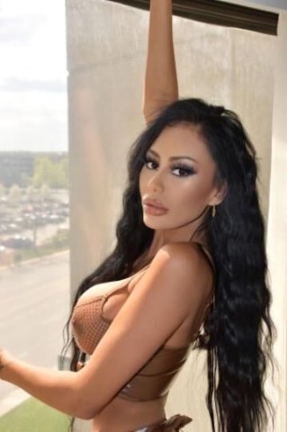 verified provider pornstar luxury vixen - 1
