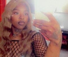 North Bay escorts - HEY BABE'S BACK INTOWN FOR A GOODTIME 🌹💦 not along time !! 👸🏽