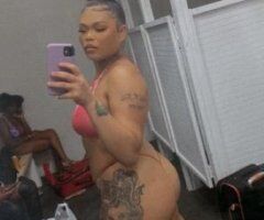 Houston escorts - 🩷Discreet polite and tight💦CAMILLE