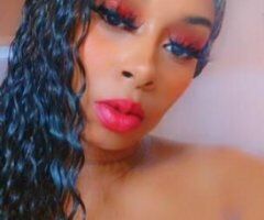 ❤️❤️❤️Mixed Breed🩷🩷🩷🩷 - Image 4