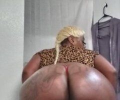 Memphis escorts - Yes i Speak English And Spanish Available 24/7 Big Jiggly Booty Foreign Pornstar Thats Always Super Duper WET 💦💦💦 & Super Freaky