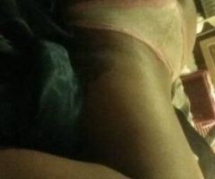 Honolulu escorts - Cassidy in town today for holiday shenanigans