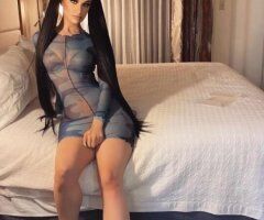 phoenix favorite bunny - Image 3